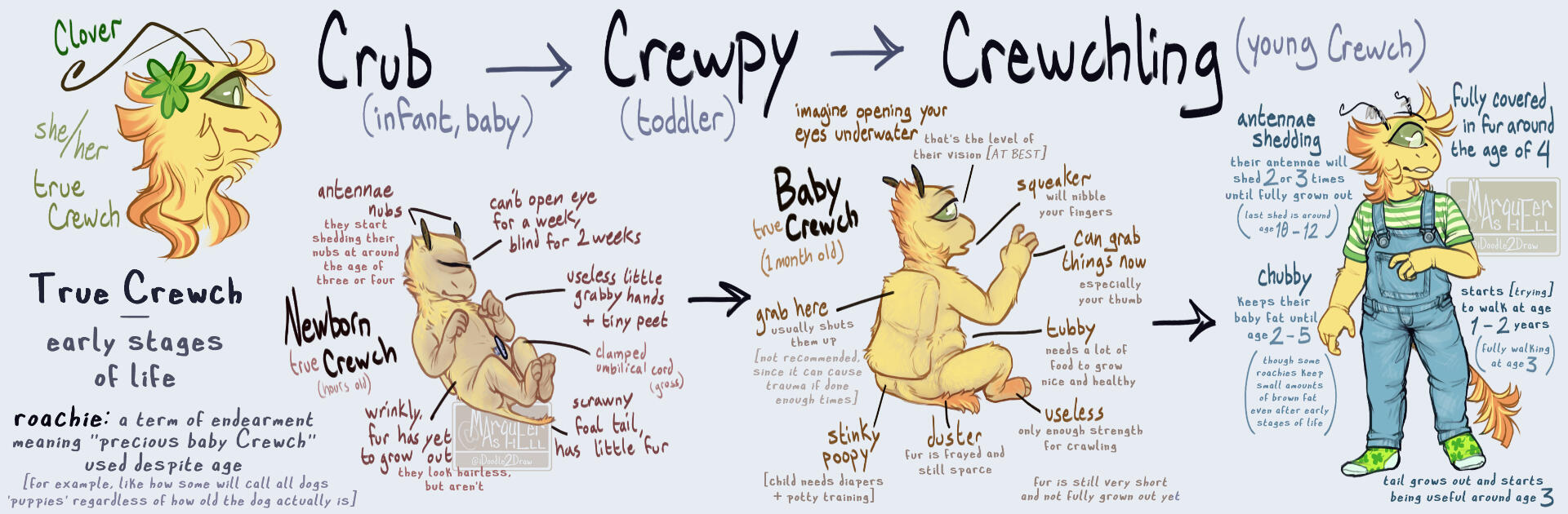 Crewch - early stages of life